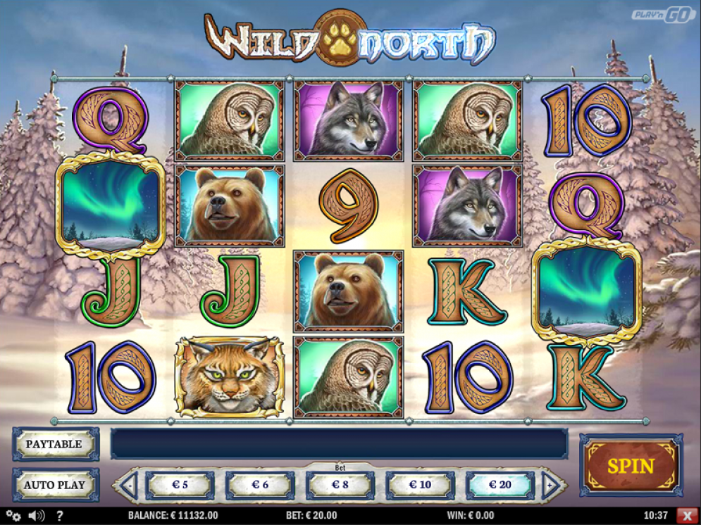 Wild North Gameplay